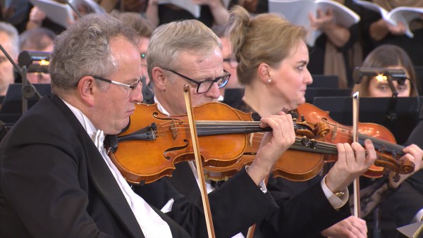 Oren extracts 29.jpg