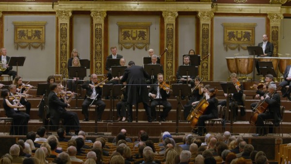 Vienna_Musikverein_24.jpg